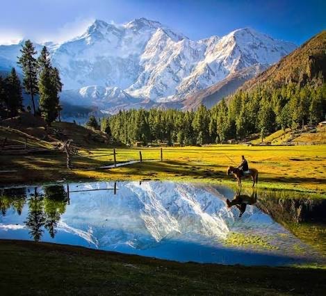 Fairy Meadows & Beyal Camp photo 2