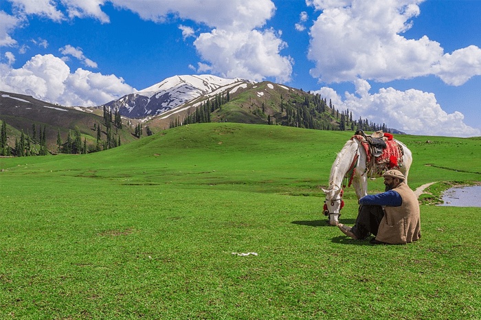 Shogran & Sharan Forest photo 4
